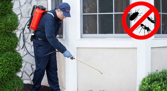 Hopa Dezenfeksiyon böcek ilaçlama ve haşere kontrolü — ilaclama-tr.com